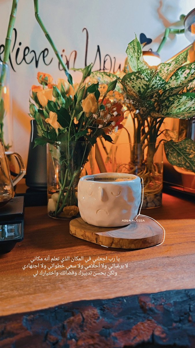arwa tweet media