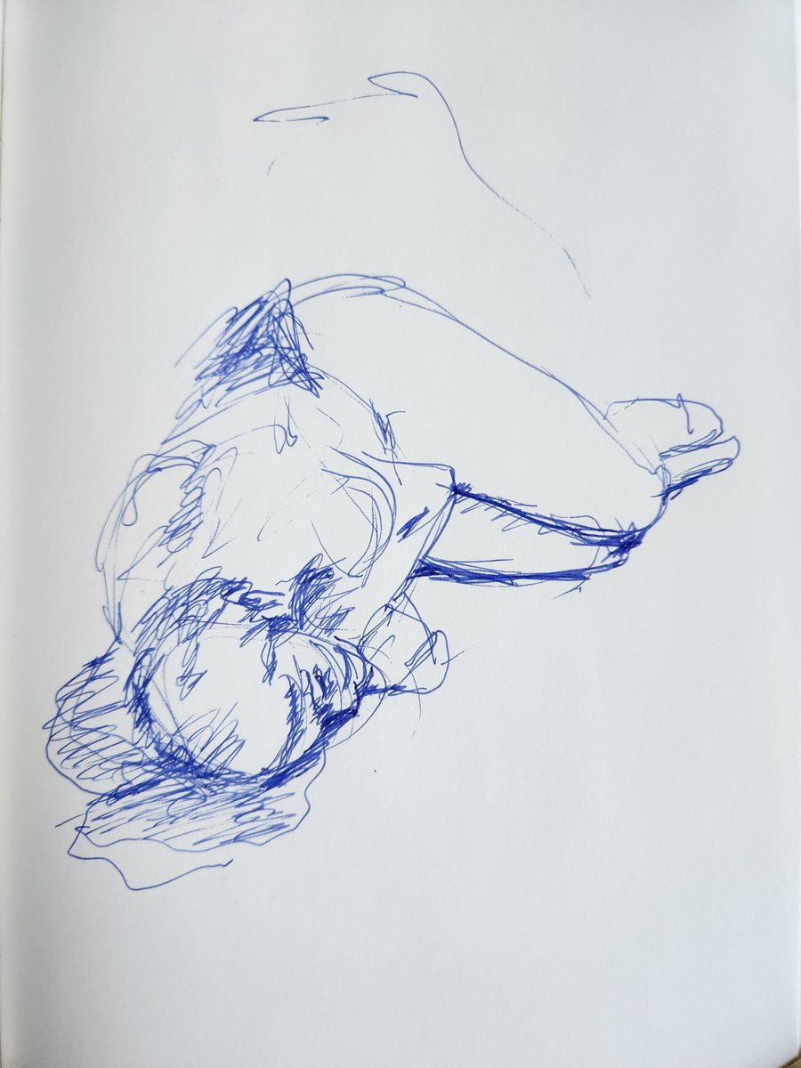 Bound Lark Rope Studio tweet media