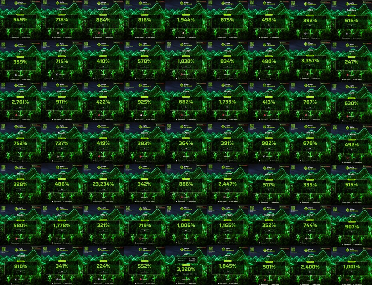 Alpha Gardeners tweet media