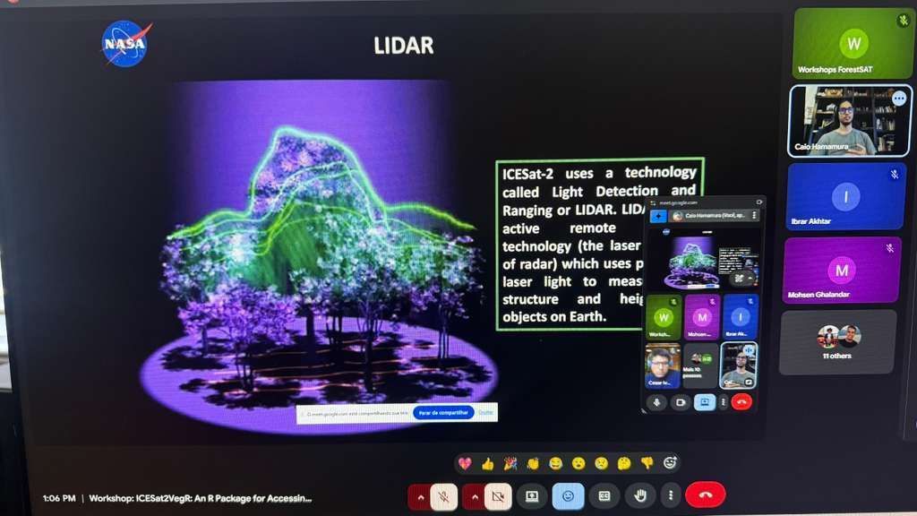 ForestSAT tweet media