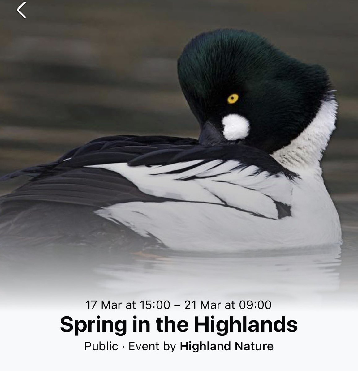 Highland Nature 🦅🐬🌿 tweet media