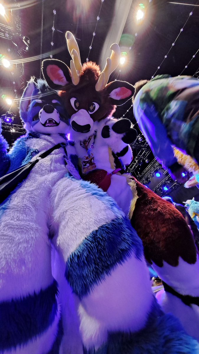 ATLAS✨🔜AC tweet media