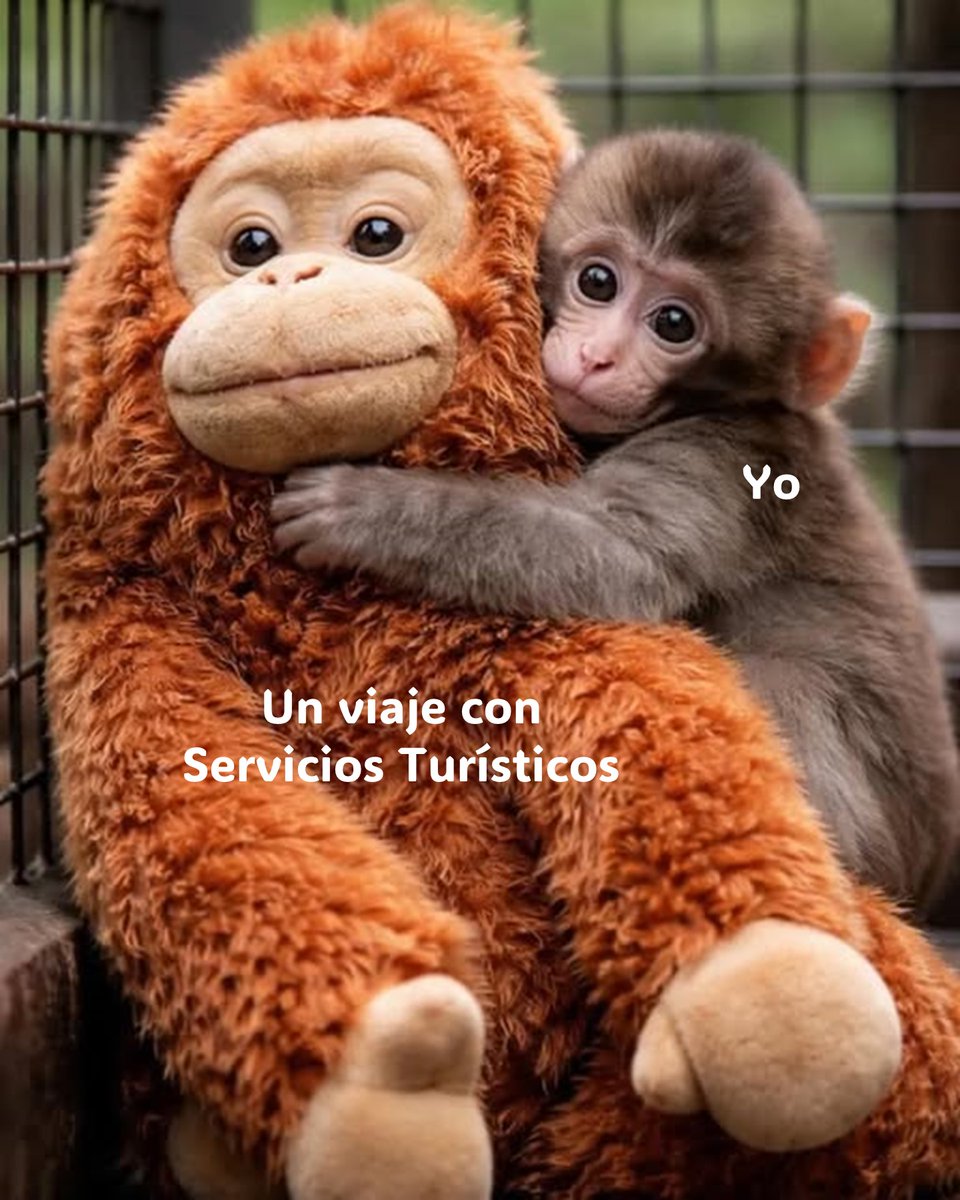 Yo, como #Punch, 🐵
abrazando fuerte lo que me hace feliz ✈️🧸💛

Somos tu lugar seguro para planear y vivir tu viaje.

📩 Mándanos mensaje. #TeAsesoramos