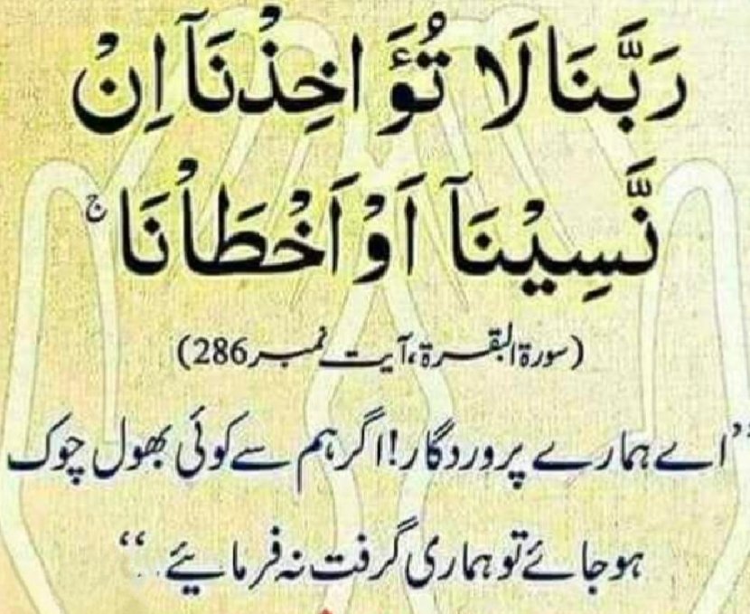 💚#خاتم_النبیین_محمدﷺ_پر_لاکھوں_کروڑوں #درود_وسلام 💚
❤️ﷴﷺ❤️ﷴﷺ❤️ﷴﷺ❤️ﷴﷺ❤️ﷴﷺ❤️ﷴﷺ❤️
🌺 السلام علیکم و رحمۃ اللہ وبرکاتہ 🌺
🌄 صباح الخیر والسعادہ🌄

🌄 GOOD MORNING 🌄 
☘️HAVE A WONDERFUL DAY ☘️
🩵NO ONE CAN MAKE YOU FEEL INFERIOR WITHOUT YOUR CONSENT🩵
