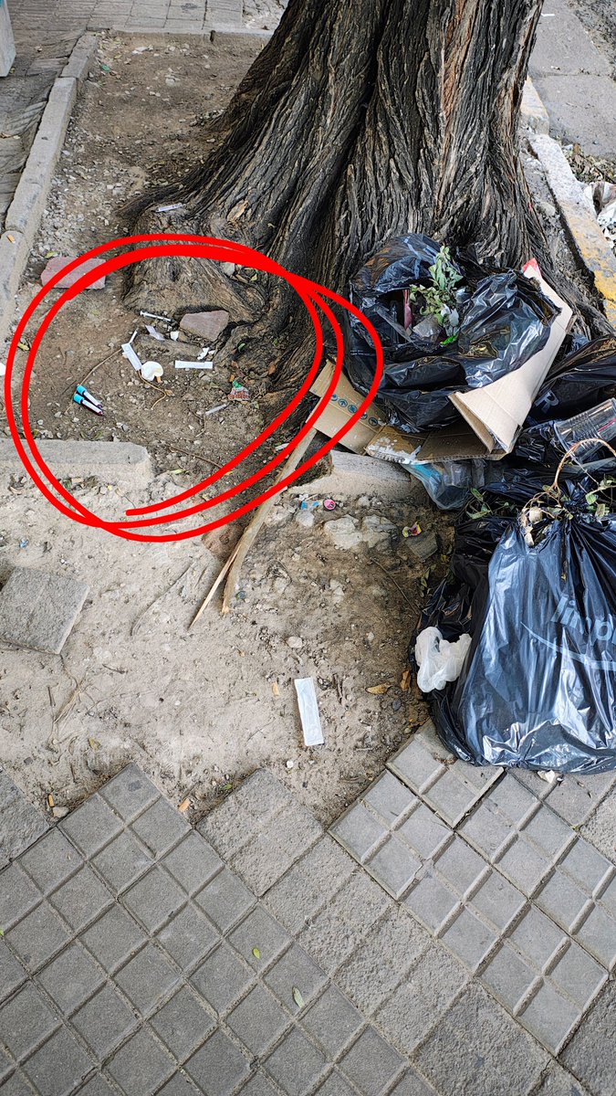 Pellegrini y Alem, al lado de la parada 1885, tirados como si nada, jeringas y muestras de sangre, no es la primera vez que veo jeringas tiradas ahí
Esto es gravísimo, tienen que buscar al que tira residuos patológico a la calle con total IMPUNIDAD
<a href="/CalleDeRosario/">CalleDRosario</a> <a href="/lmarelli0/">Luciano Marelli</a>