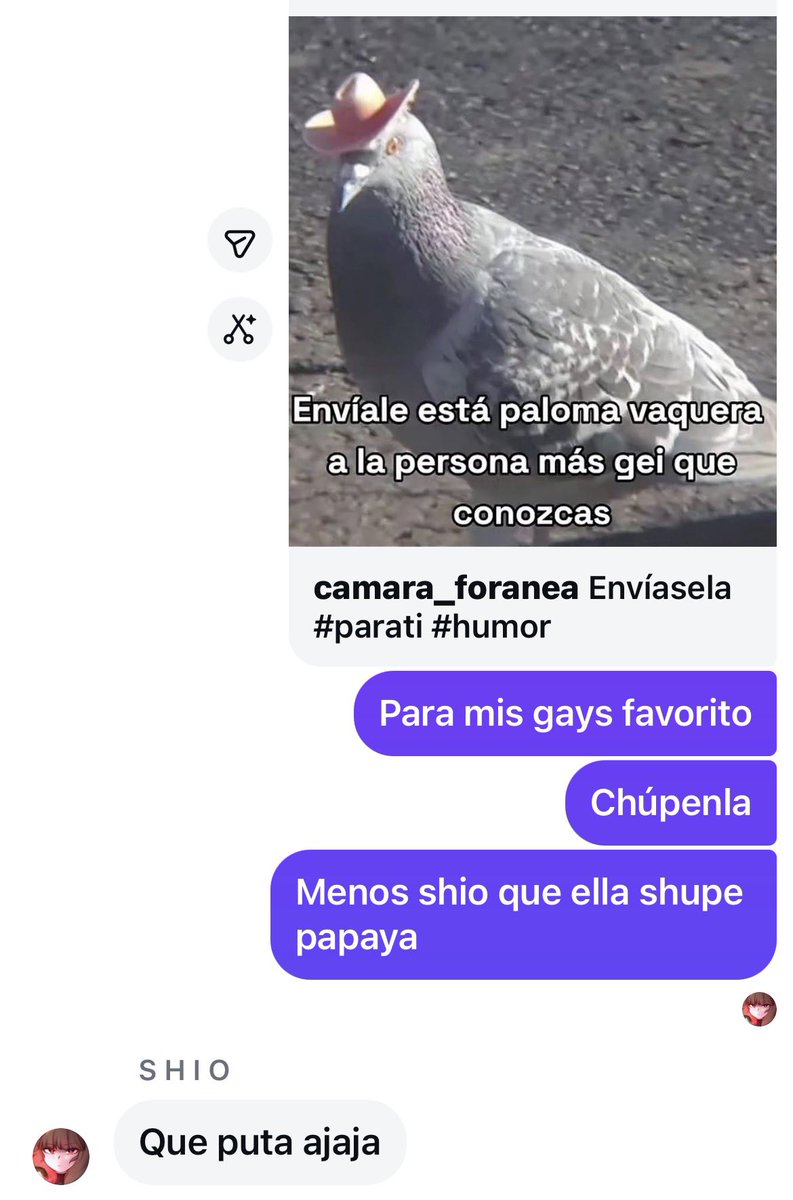 Amiga las lesbias no chupan pito porfavor deja de fingir ser algo quee no eres tqm amiga lesbiana