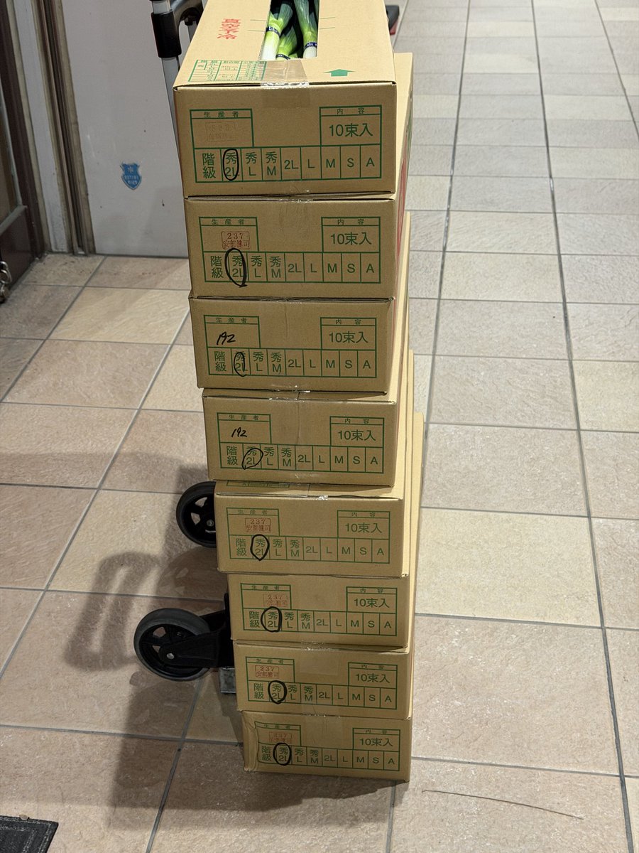 2/24(火) 今朝4時に市場で仕入れた白ネギは、徳島県産JAねぎ24kg、秀2L