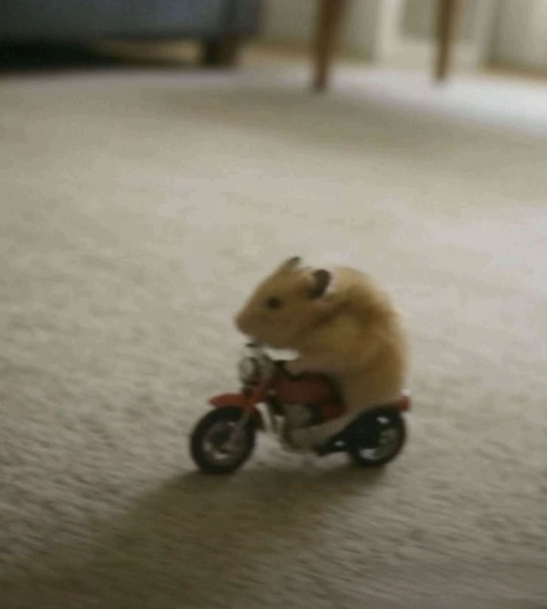 Ravaro | رافارو tweet media