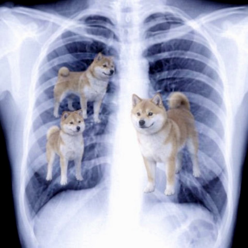 Joelliuzzi tweet media