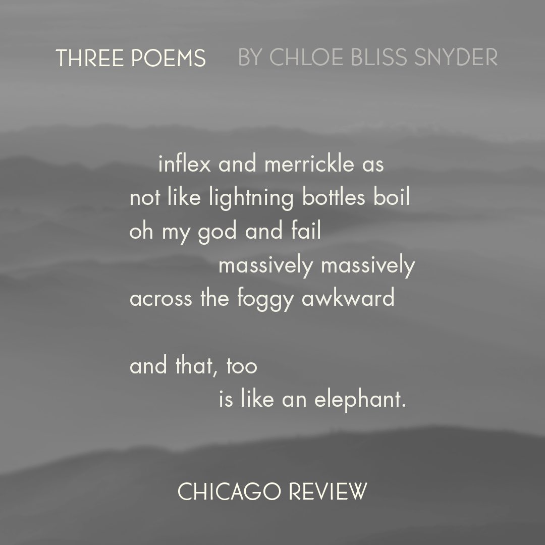 Chicago Review tweet media