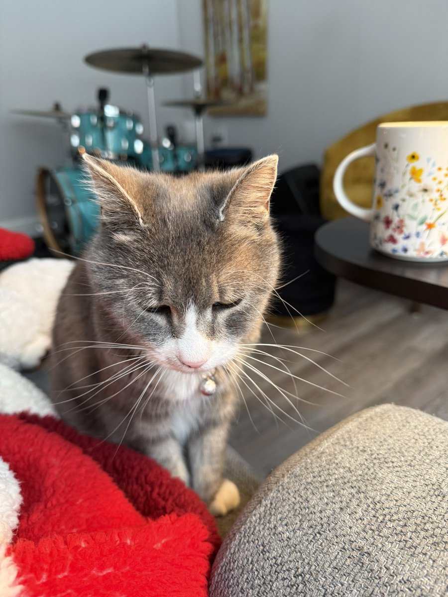 Janice Landry tweet media