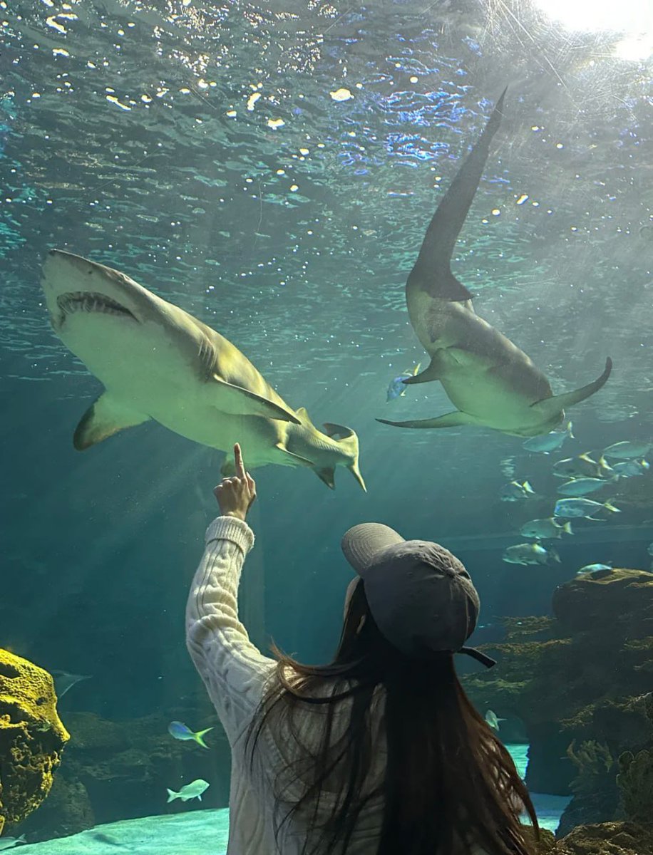 _Mackenzie_a's tweet photo. A glimpse into the vibrant life beneath the surface! https://t.co/1QQa7RKGMb