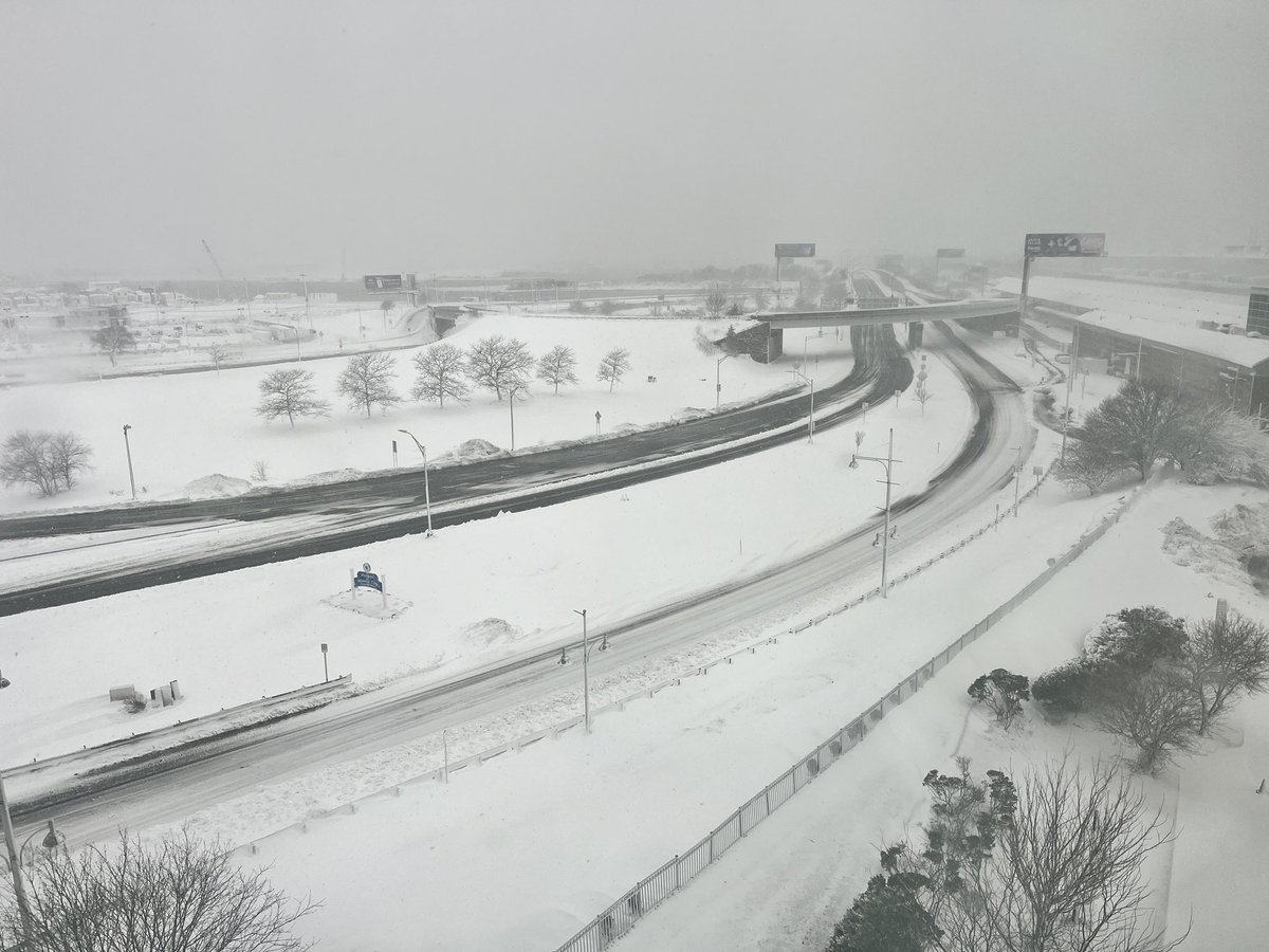 Madeleine Wright tweet media