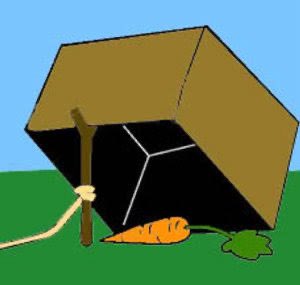 Kind of miss seeing Chiitan around…I wonder if they are doing okay