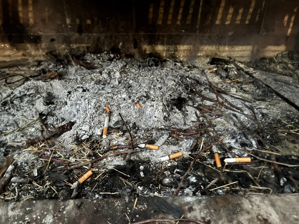 Marcelo A. Duclos tweet media