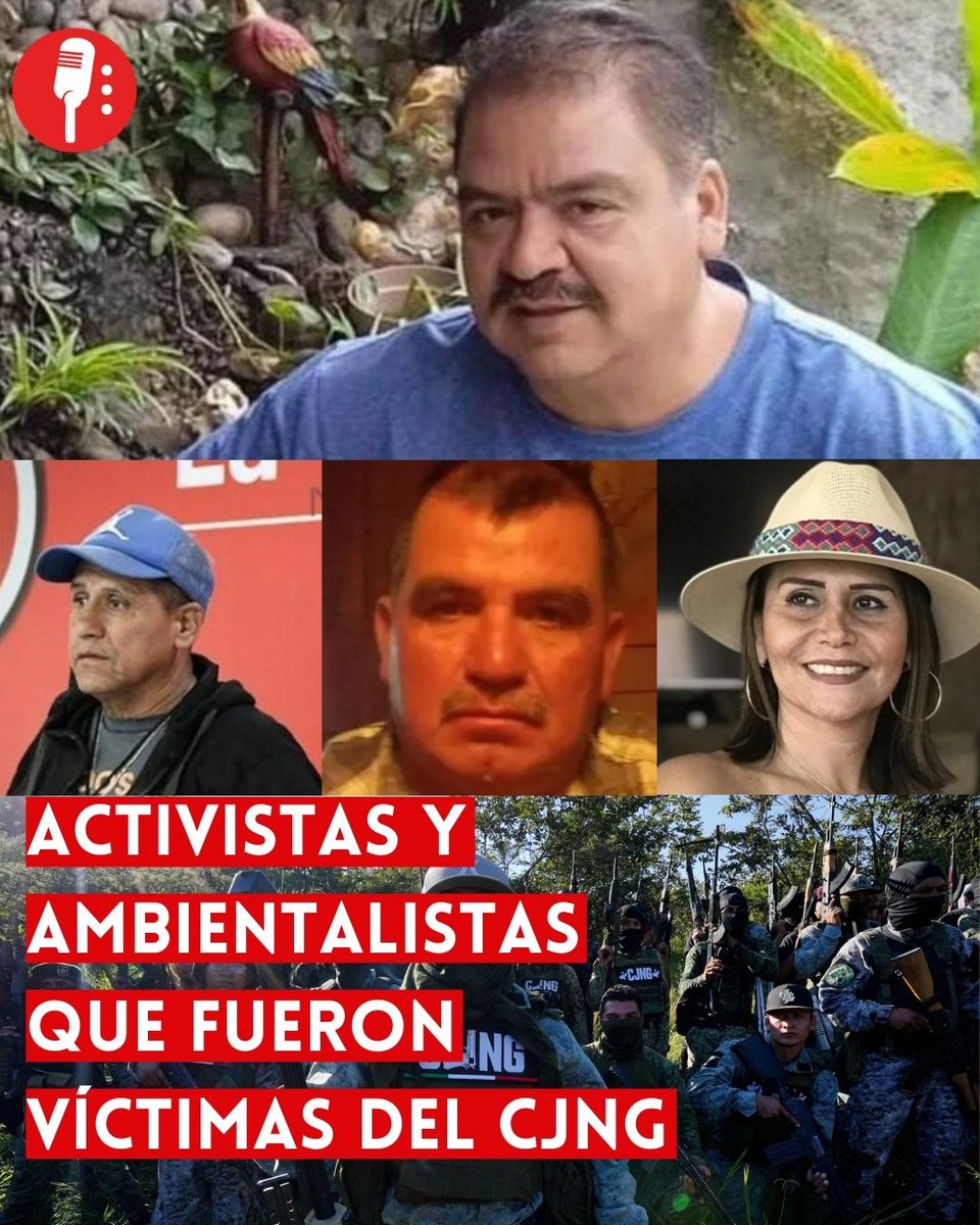 Los Reporteros MX tweet media