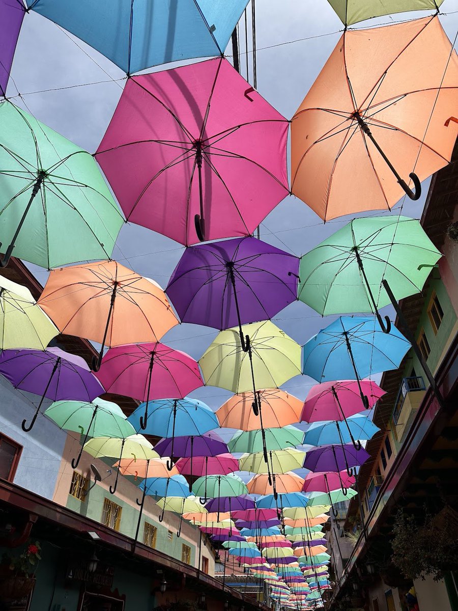 Caravan Tours tweet media