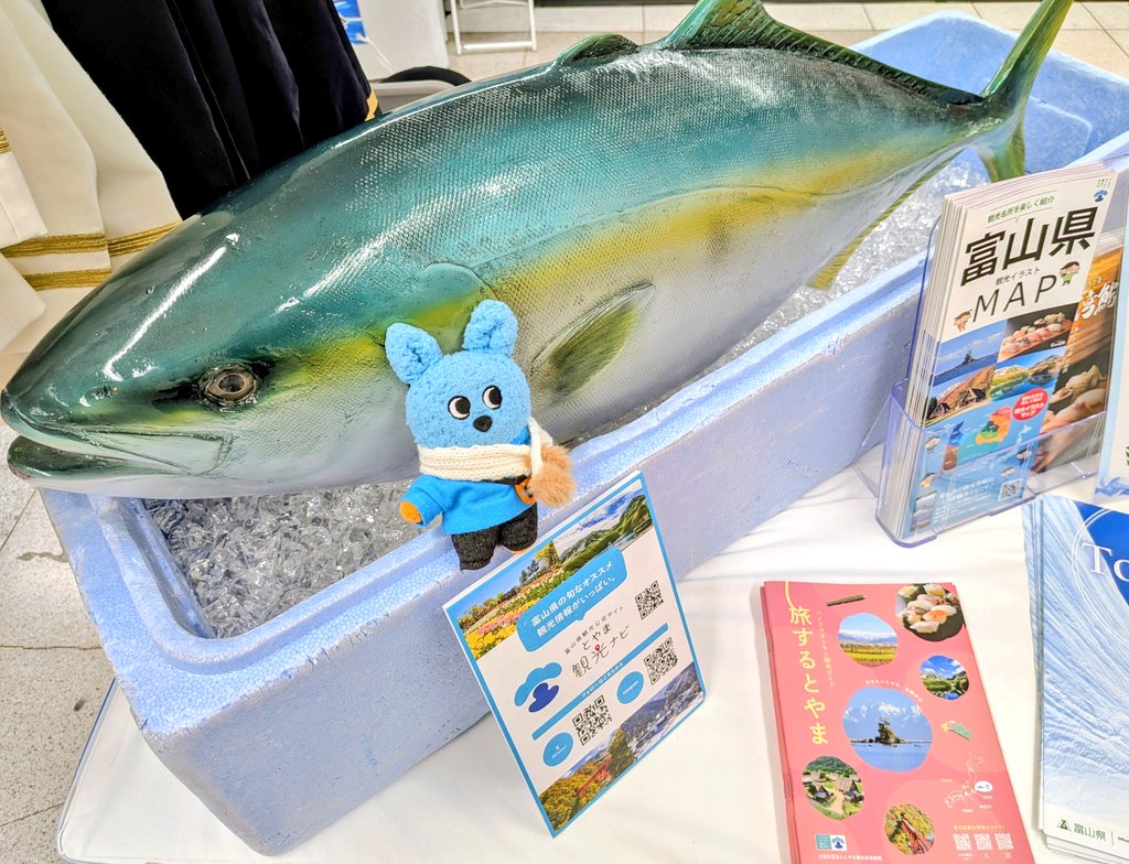 Post by ゆっこ on X: おはもこ🐰