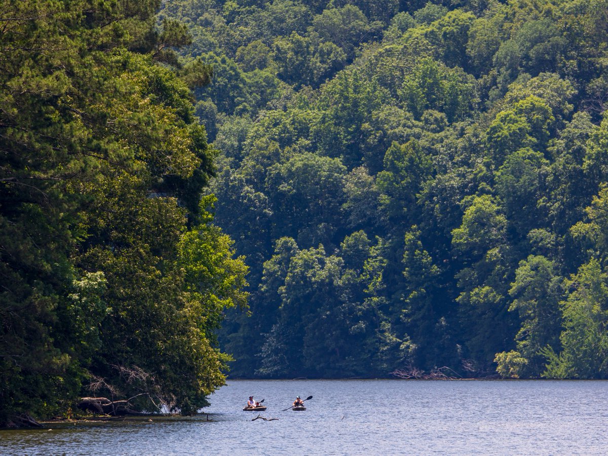 Sweet Home Alabama tweet media