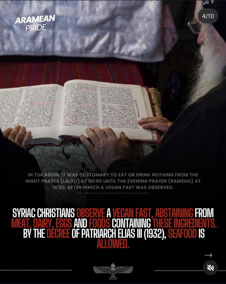 Aramese Federatie NL tweet media