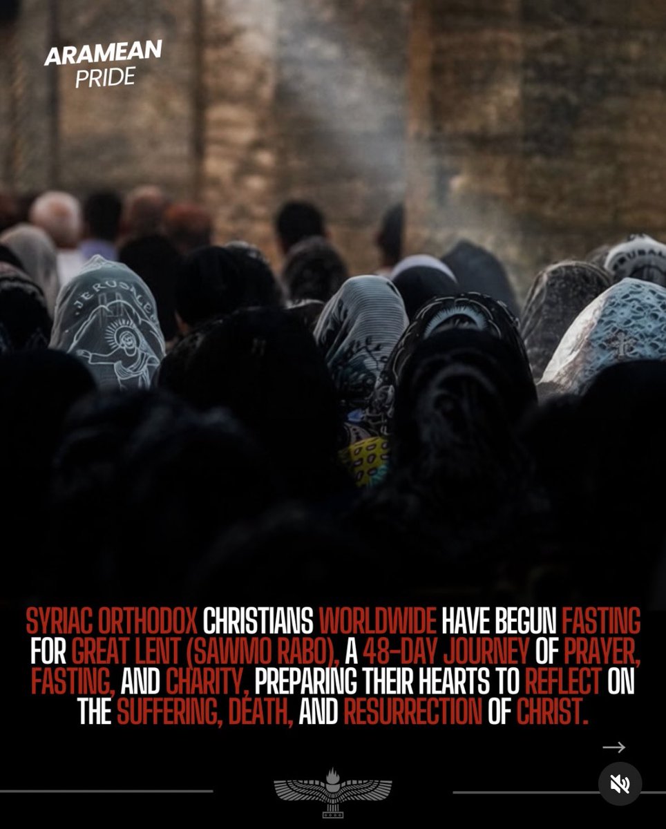 Aramese Federatie NL tweet media