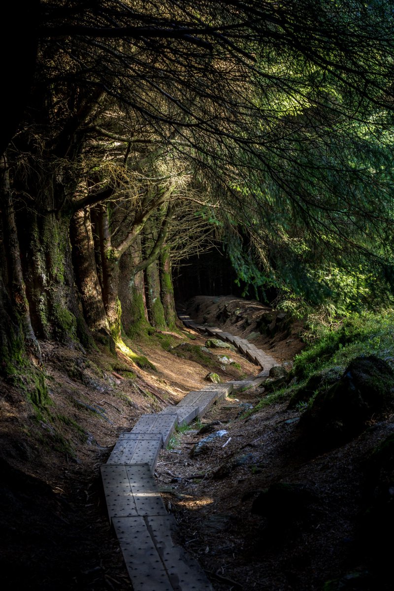 Love Ireland tweet media