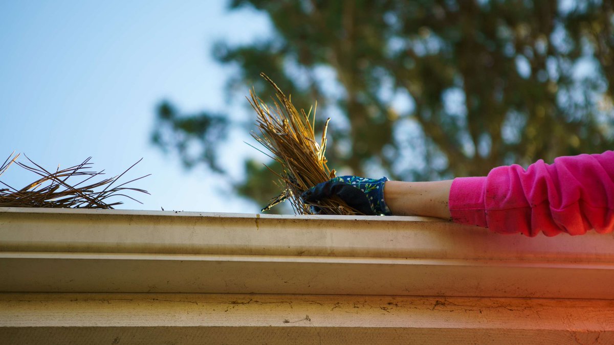 WaterForLA tweet media