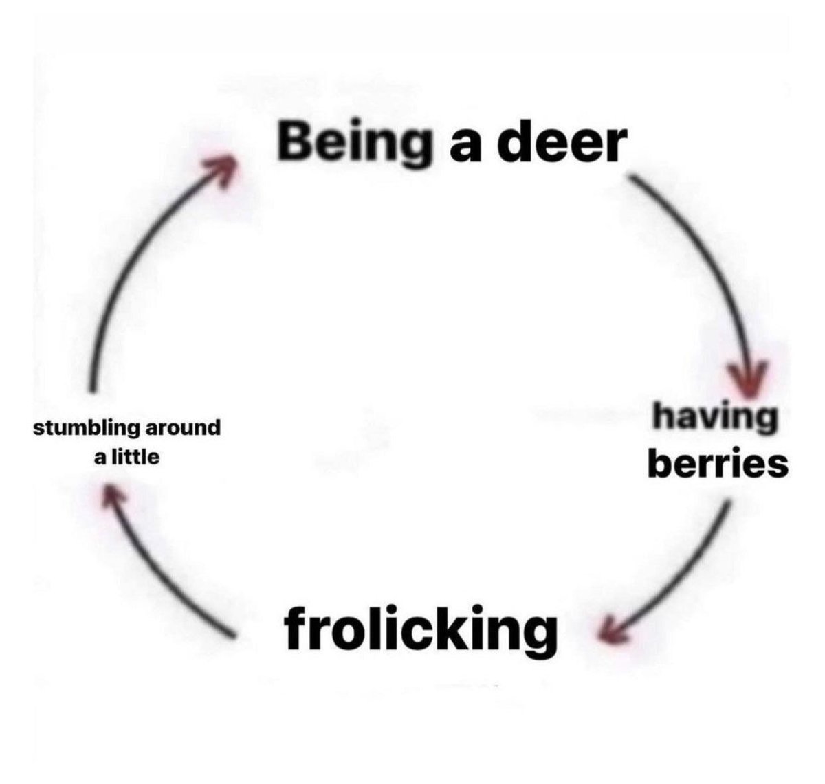 Deer in Places they Shouldn't Be tweet media