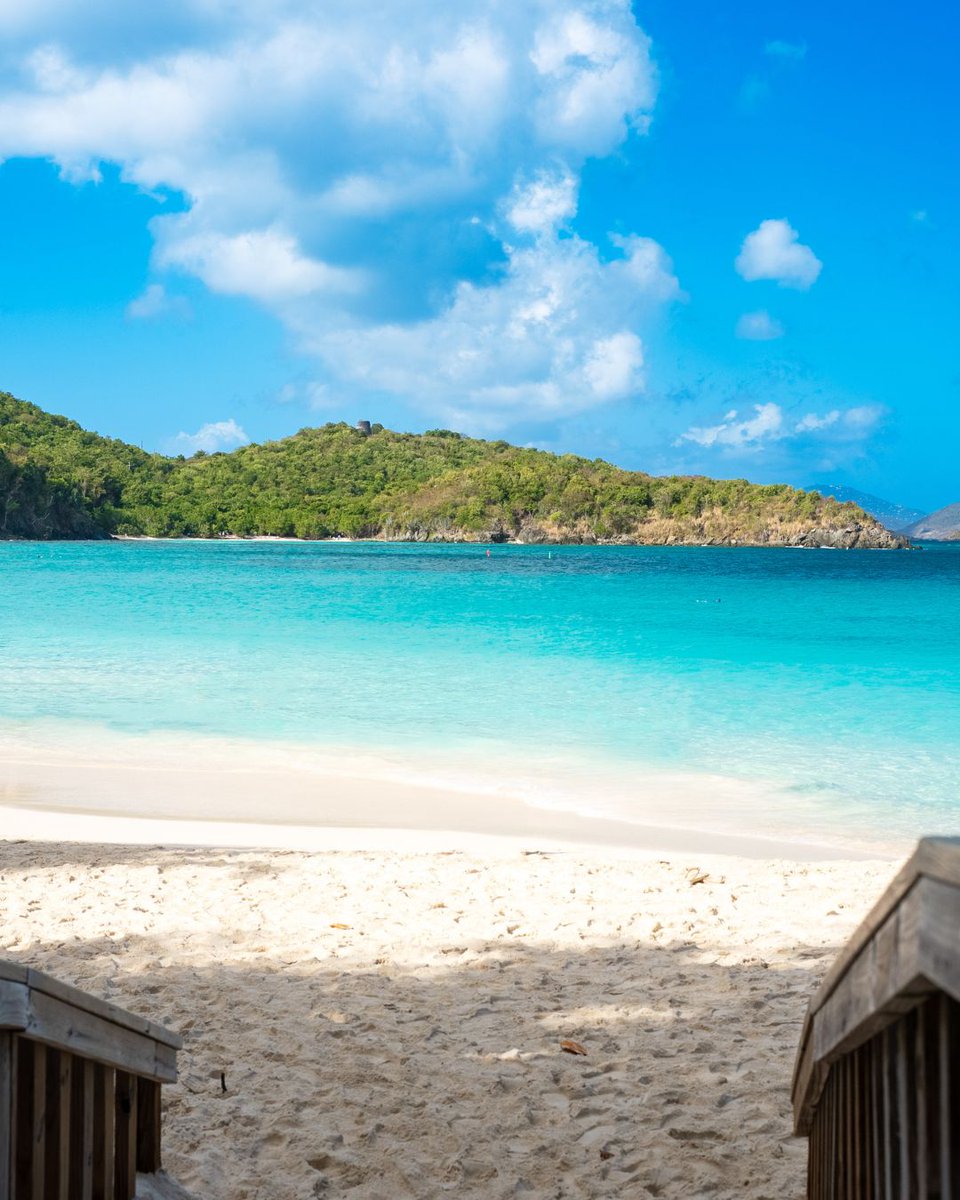 Princess Cruises tweet media