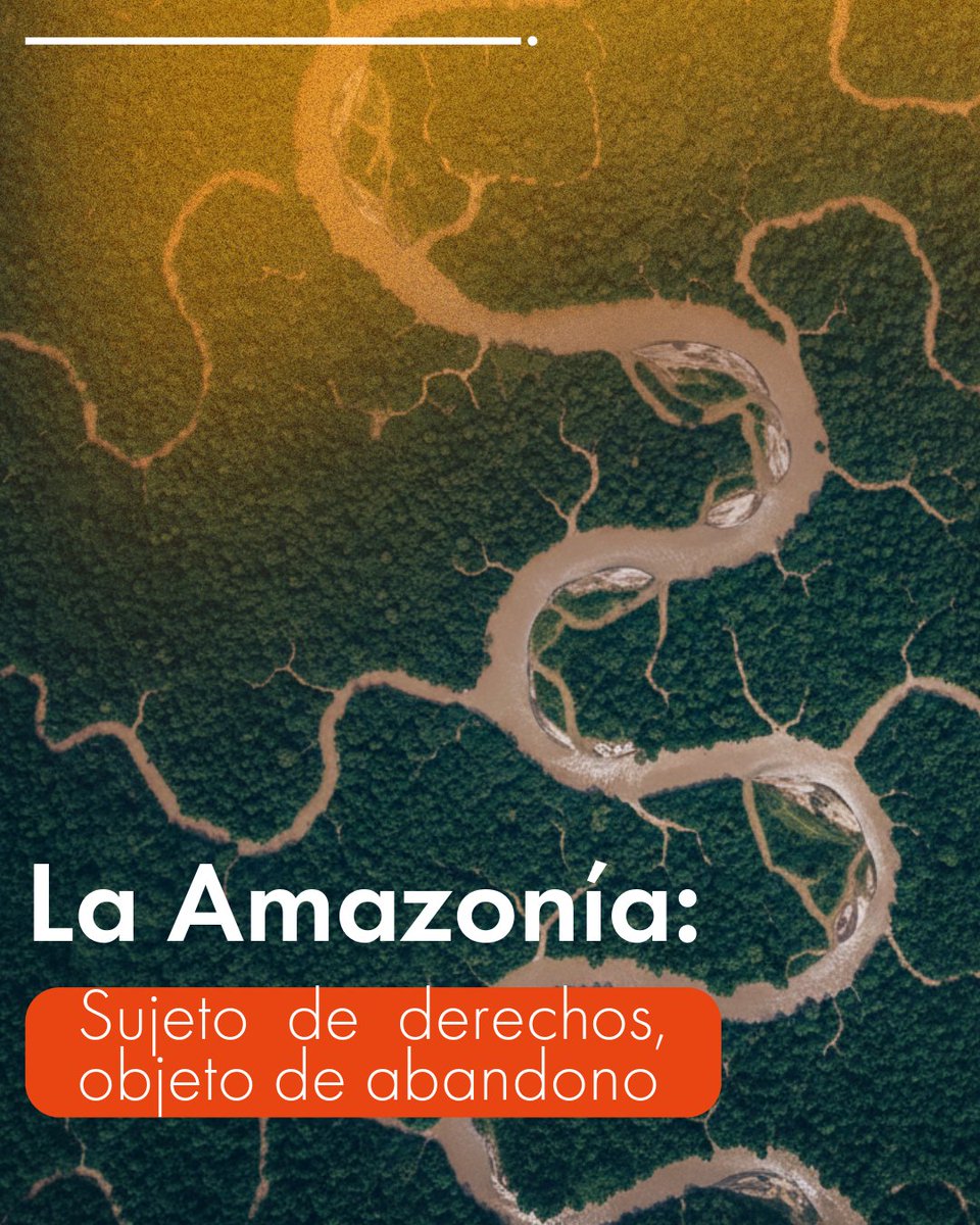 #LaAmazonía: sujeto de derechos, objeto de abandono.
“Declarar no es lo mismo que transformar”. La deforestación no se detiene ante una providencia judicial ni se conmueve por el prestigio de una corte; avanza por la ausencia de #Gobernanzaterritorial 
#FUCAI 🧡Artículo en BIO🔗