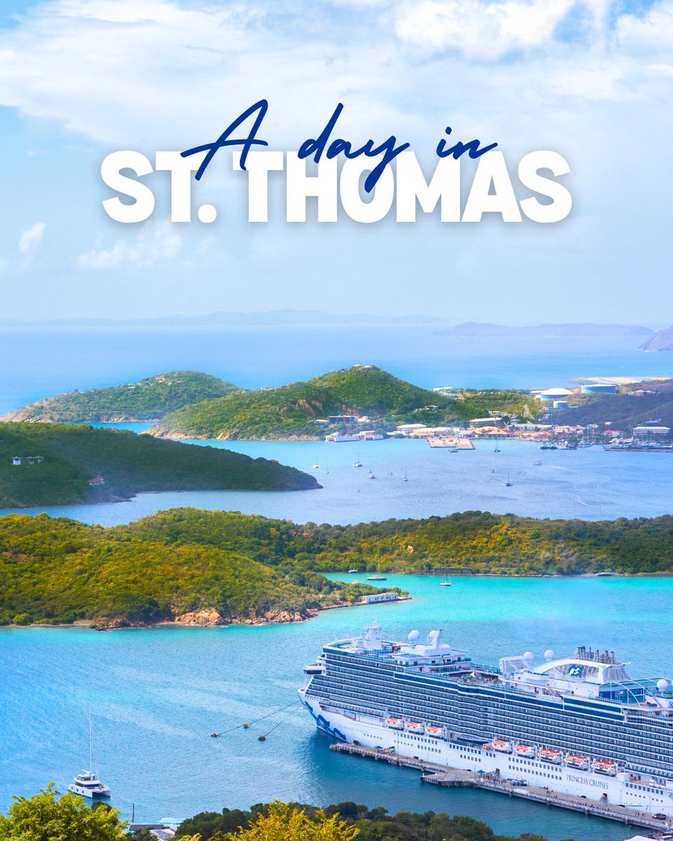 Princess Cruises tweet media