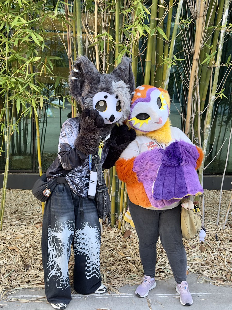 🪶Solaris 🍁 tweet media