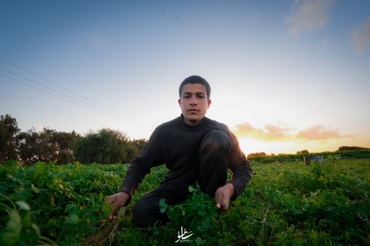 Samocool08's tweet photo. 📍 سواني الفتايح  ، درنة .🌱

#درنة #ليبيا #fyp #derna #Libya https://t.co/uRBbBV241S