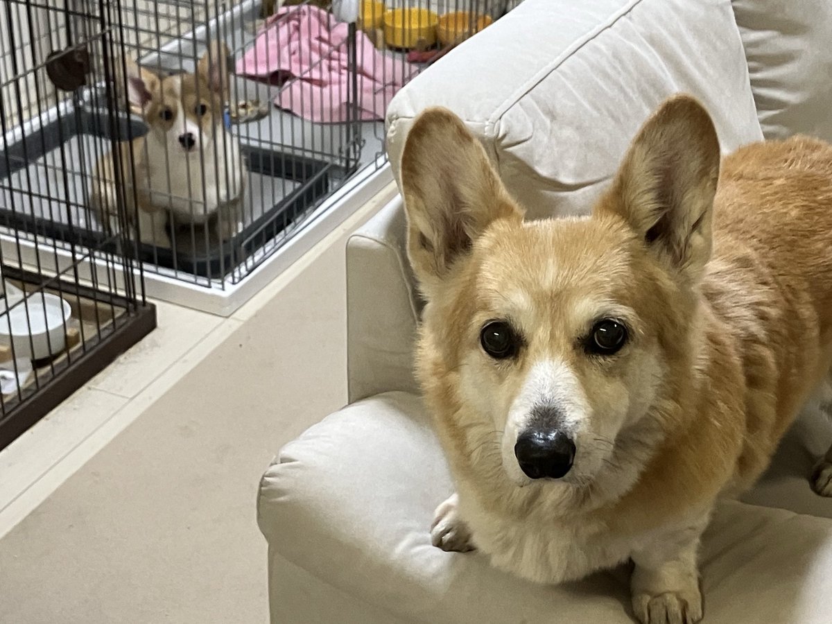 こたパパ@全国100年老舗節約グルメ旅人 (@shinisetabi) / Posts / X