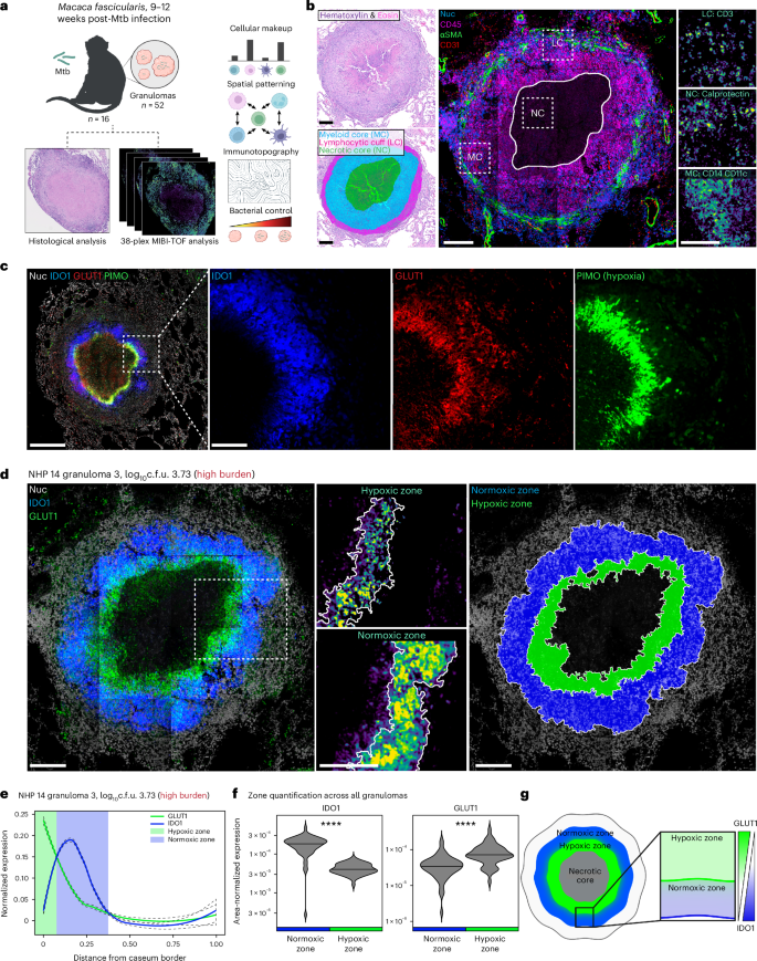 Waggoner Lab tweet media