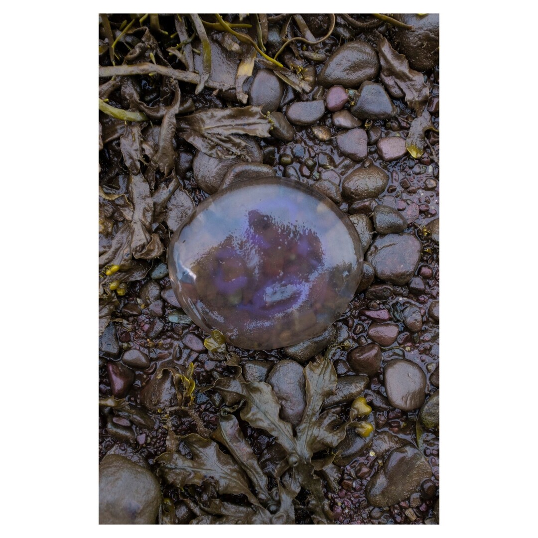 Call Me Ferdia tweet media