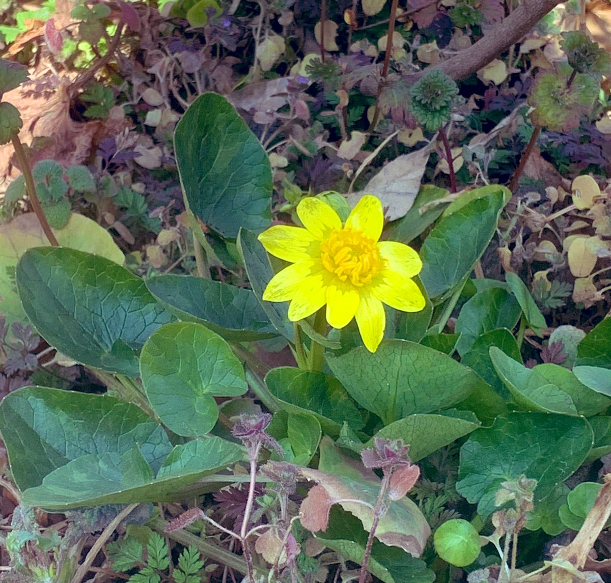 ͟͟͞͞♥ヽ( '-'ヽ)ｷｬｯﾁ ☻⋆˚✩Ꮹ∞ძ ოǫɾлілϧ ༘*ೄ˚☻ 最近突然