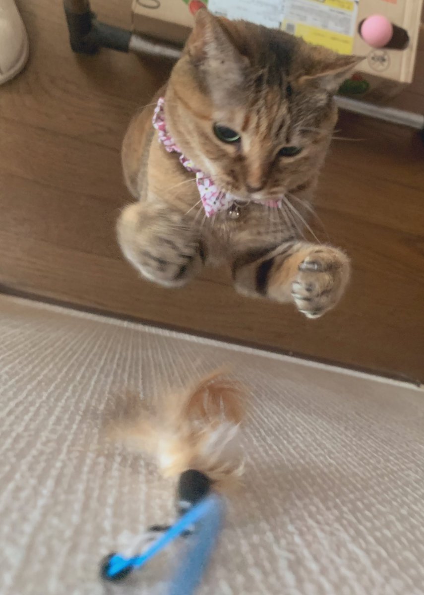 ͟͟͞͞♥ヽ( '-'ヽ)ｷｬｯﾁ ☻⋆˚✩Ꮹ∞ძ ოǫɾлілϧ ༘*ೄ˚☻ 最近突然