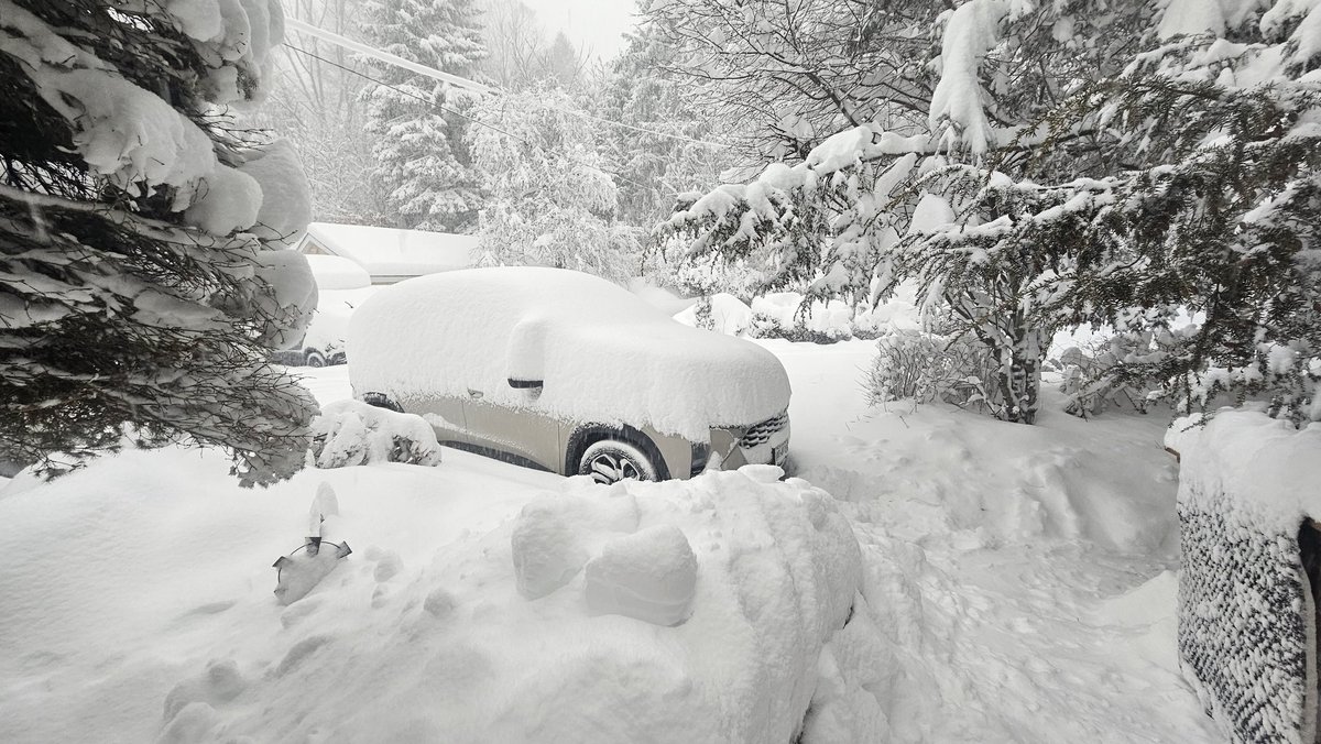 Bocker & Marie tweet media