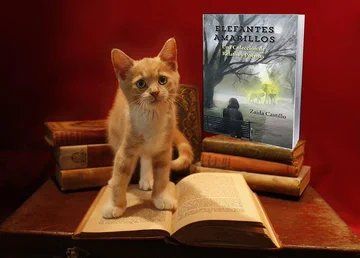 🐘 #ElefantesAmarillos 🐘
Una Colección de Relatos
 y Poemas...  ✍️ 📚 
Si me lees sabrás porqué los pinté de amarillo...
78 páginas repletas de amor💕 de magia 🧙‍♀️ y fantasía...🧜‍♀️
#queleer #poesia #relatos #lecturarecomendada 
amzn.eu/d/7Hb01wY  amzn.eu/d/6W6LTFL