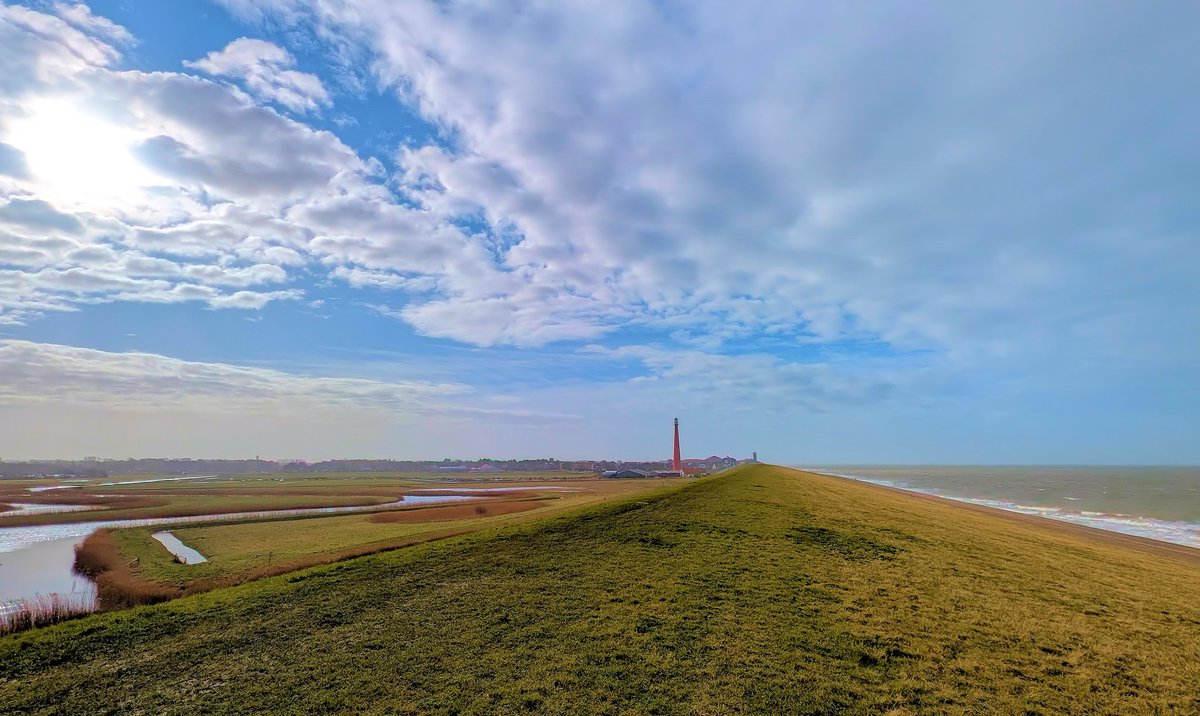 Ed v. Pelt tweet media