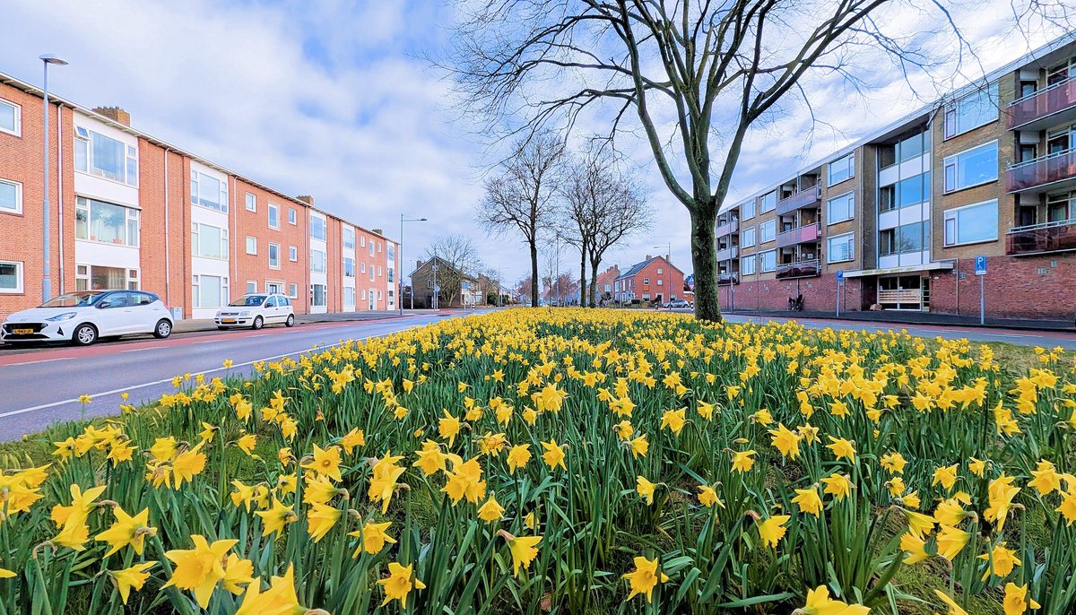 Ed v. Pelt tweet media