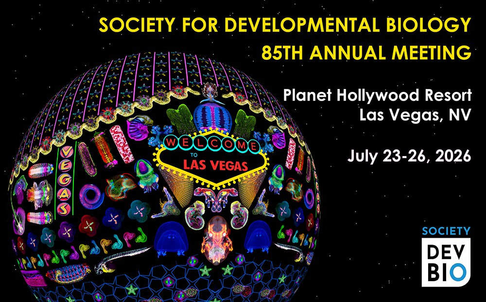 Society for Developmental Biology tweet media