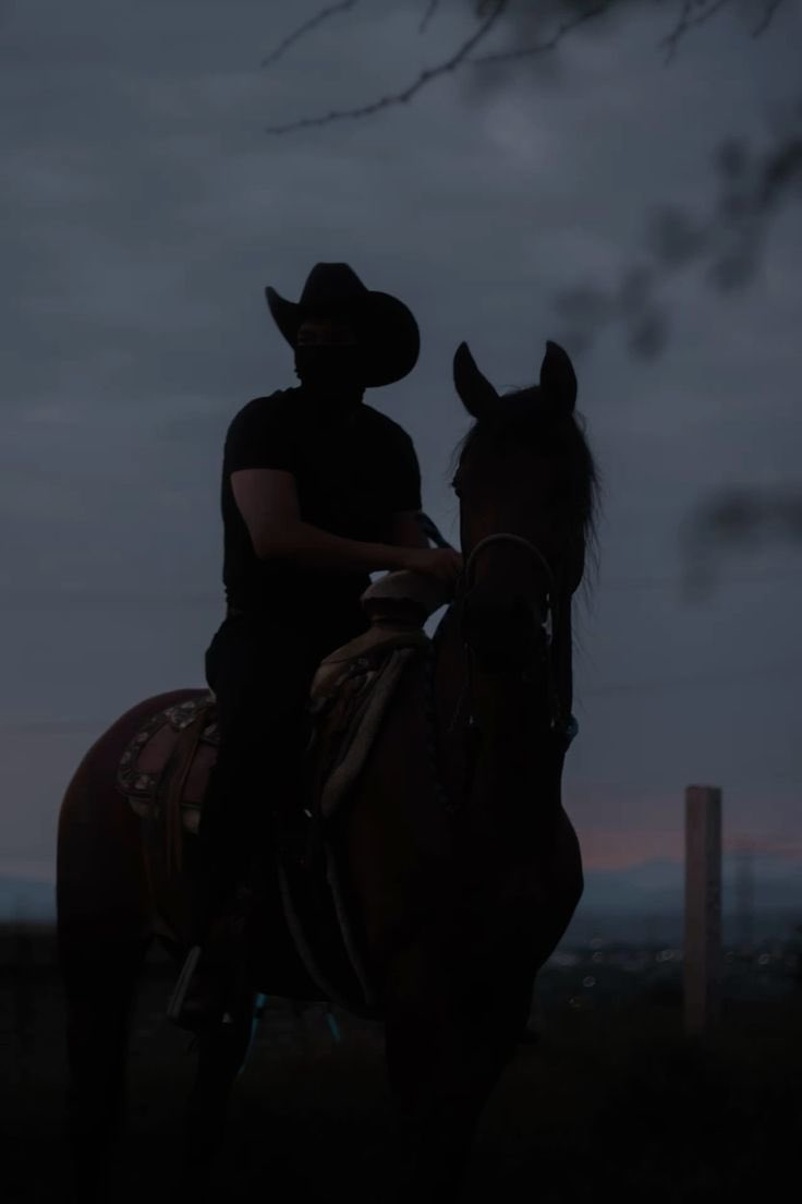 𝐌𝐚𝐞𝐬𝐨𝐧. tweet media