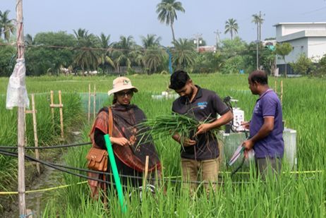 Global Change Biology Bioenergy tweet media