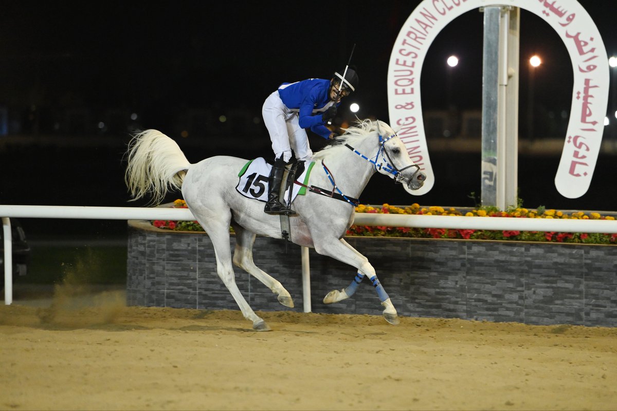 نادي الصيد والفروسية tweet media