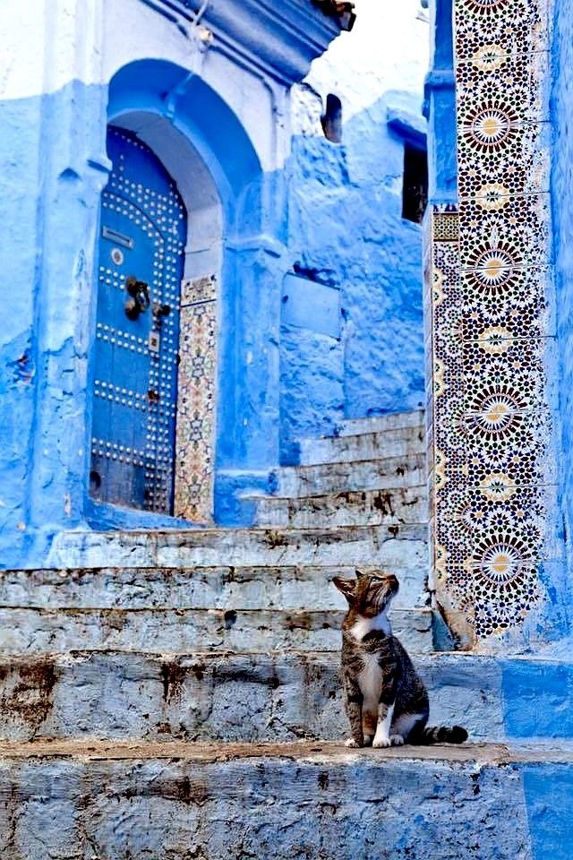 MENA Visuals tweet media