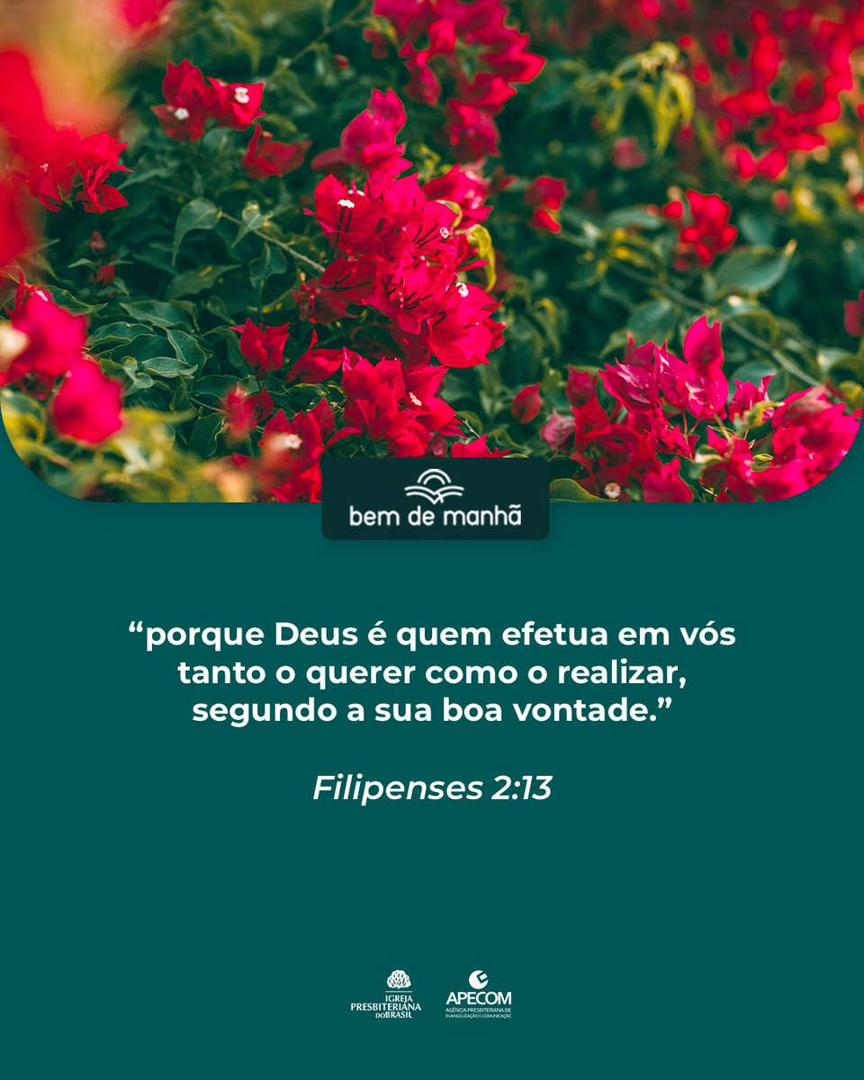 Bem de Manhã: Comece o dia meditando na sabedoria de Deus.

“porque Deus é quem efetua em vós tanto o querer como o realizar, segundo a sua boa vontade.”

Filipenses 2:13