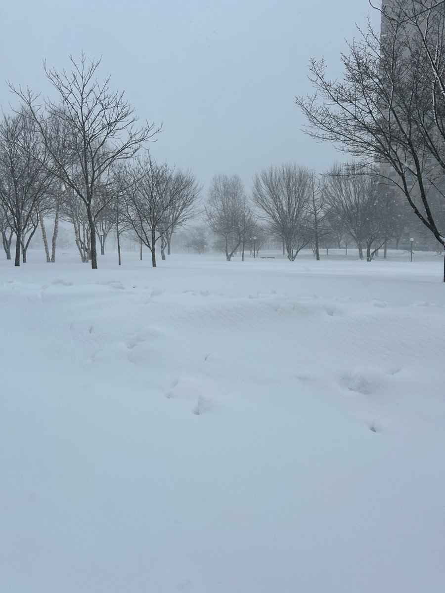 ENSPIRE Magazine tweet media