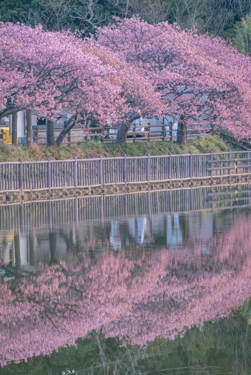 𝑇𝑎𝑘𝑢 (@taku_photo47) / Posts / X